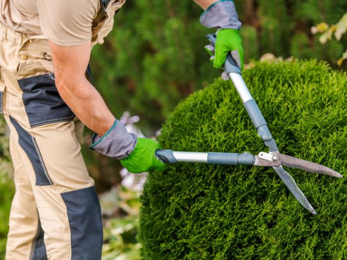 تنسيق حدائق Landscaping