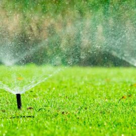 تنسيق حدائق Landscaping