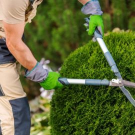 t¡ ƒTƒ¼ñƒ¬ áƒTºOƒO (5)